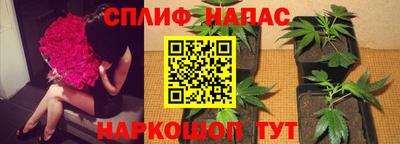 амф Бузулук