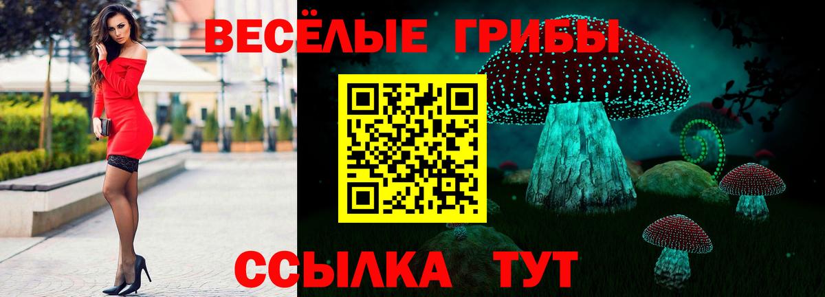 Шебекино  Псилоцибиновые грибы GOLDEN TEACHER  Вход с VPN 